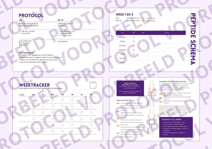 Anne's Reset Protocol